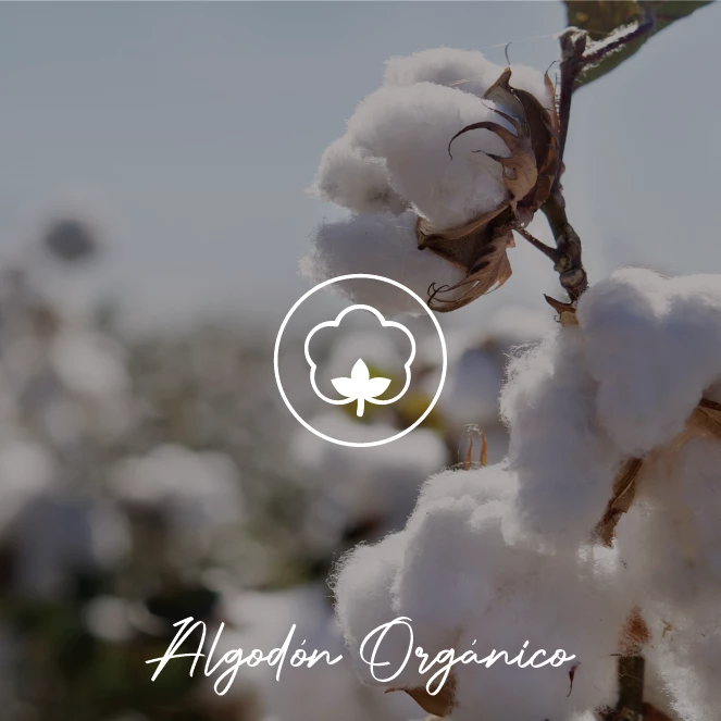 Algodón Orgánico