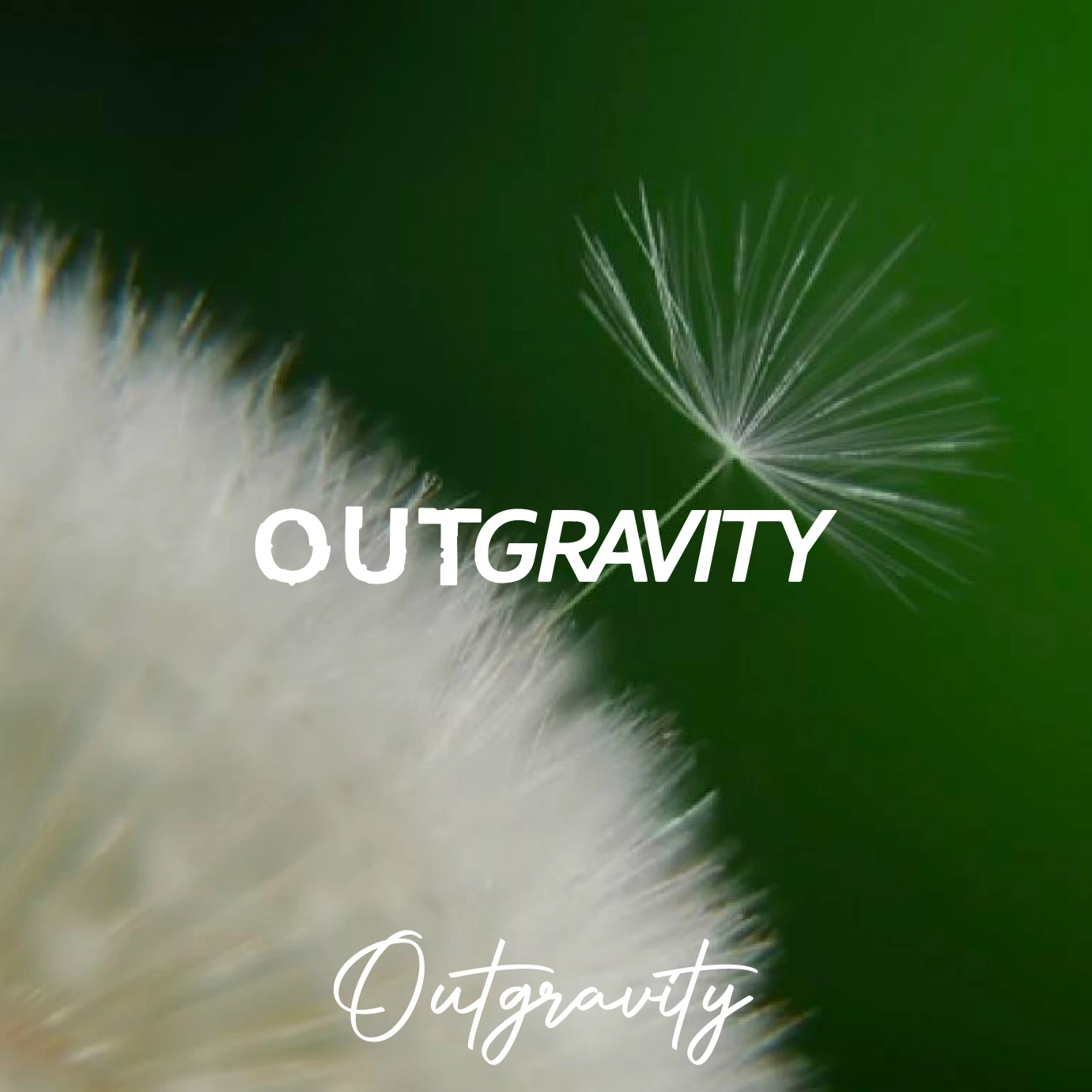 Outgravity