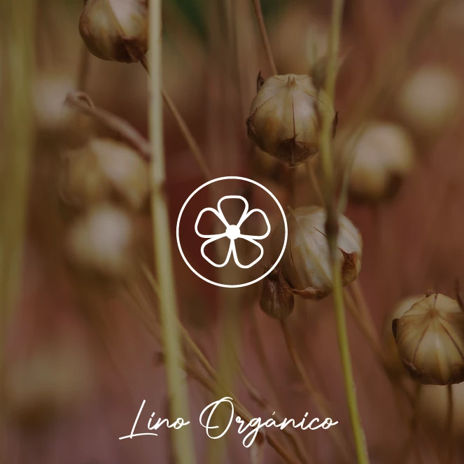 Lino Orgánico