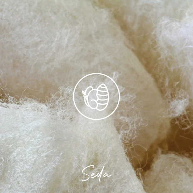 Seda