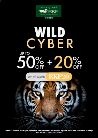 Promo Banner