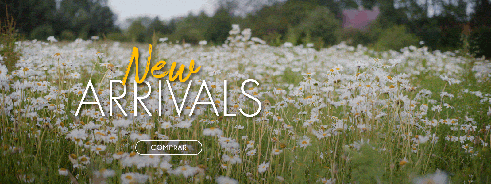 New Arrivals / RKF